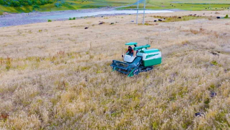 Suoxian County, Tibet: A Beautiful Picture of Rural Revitalization is Painted Along the Suoqu River